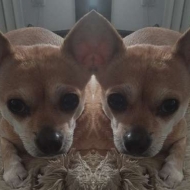 J B
